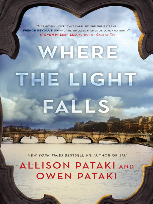 Title details for Where the Light Falls by Allison Pataki - Wait list